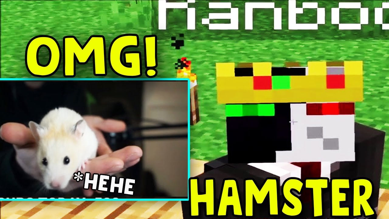 tubbo gets scared of the hamster!