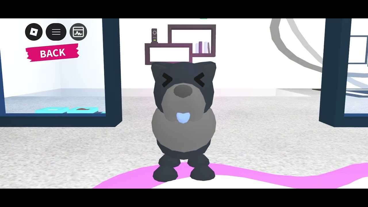 Showing my pets in adopt me! 🩷