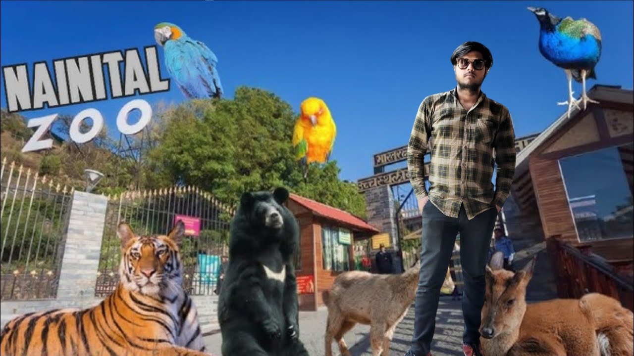 पहाड़ के ऊपर बना है नैनीताल जू long vlog 33❤️