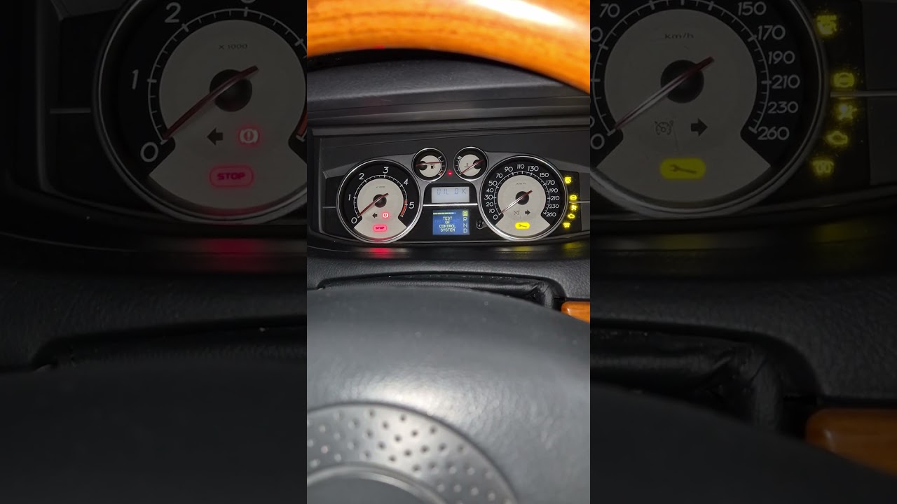 Renault Vel Satis 2.0dCi 175 cold start -23 #shorts #renault #coldstart #diesel