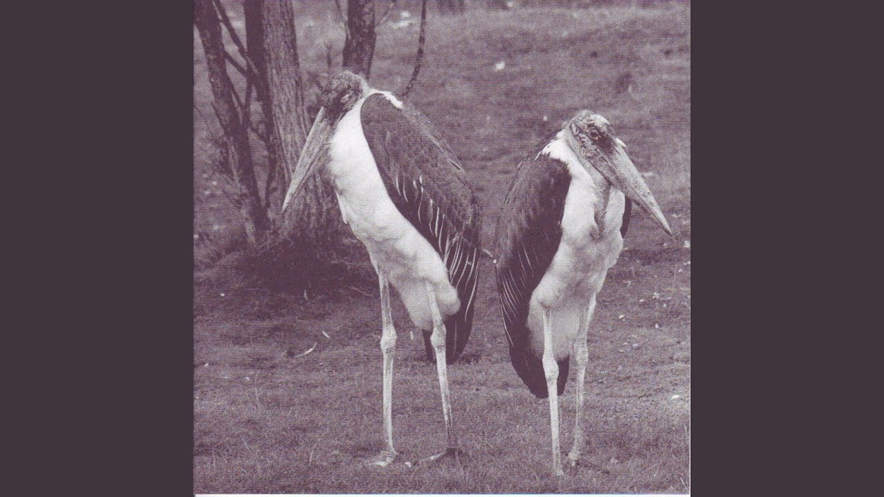 Rakkaus