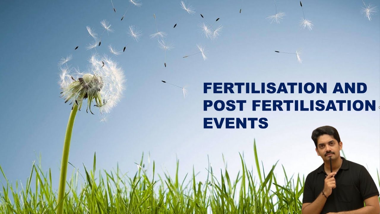 Sexual Reproduction in Flowering plants (Fertilisation, Post fertilisation events) 2026