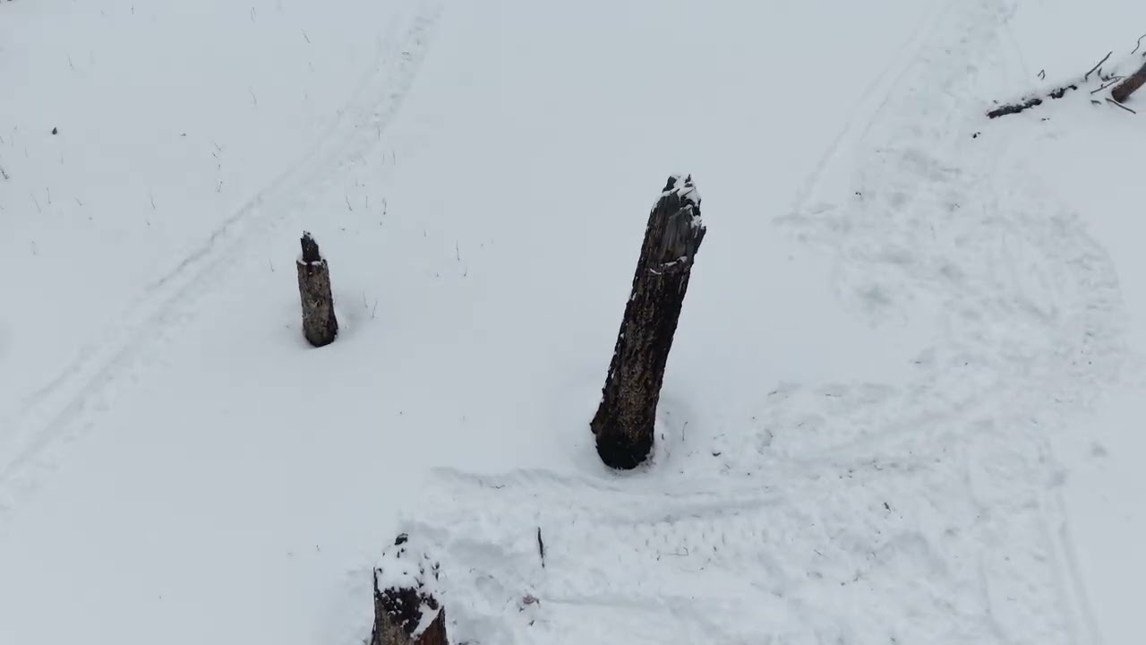 Sled Rescue on Day 1