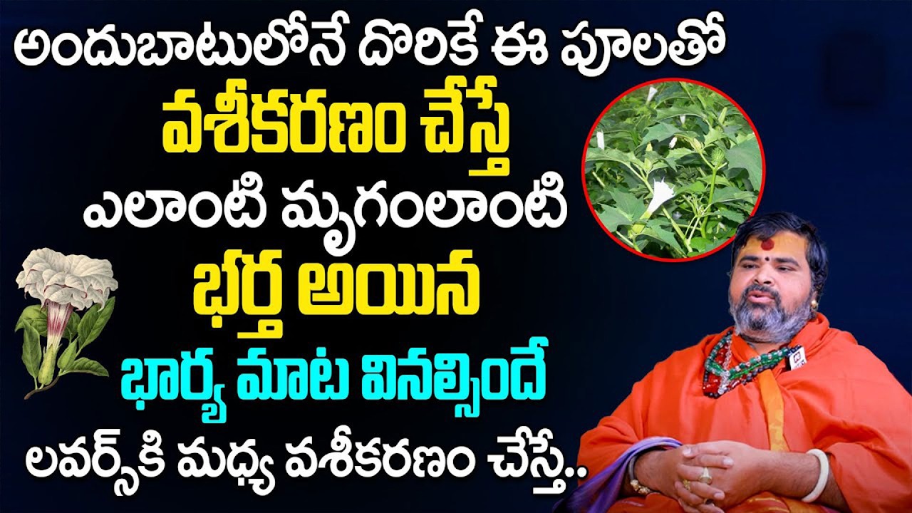 పూలతో వశీకరణం ఎలా చేస్తారు..? || How to do Vasikarana || Ashok Guruji @ahabhakthi