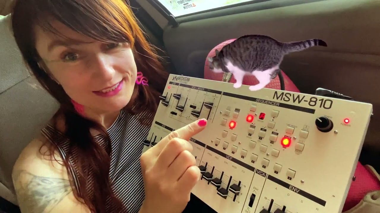 Michigan Synth Works MSW - 810 – Как программировать это устройство с помощью звуковых сэмплов (р...