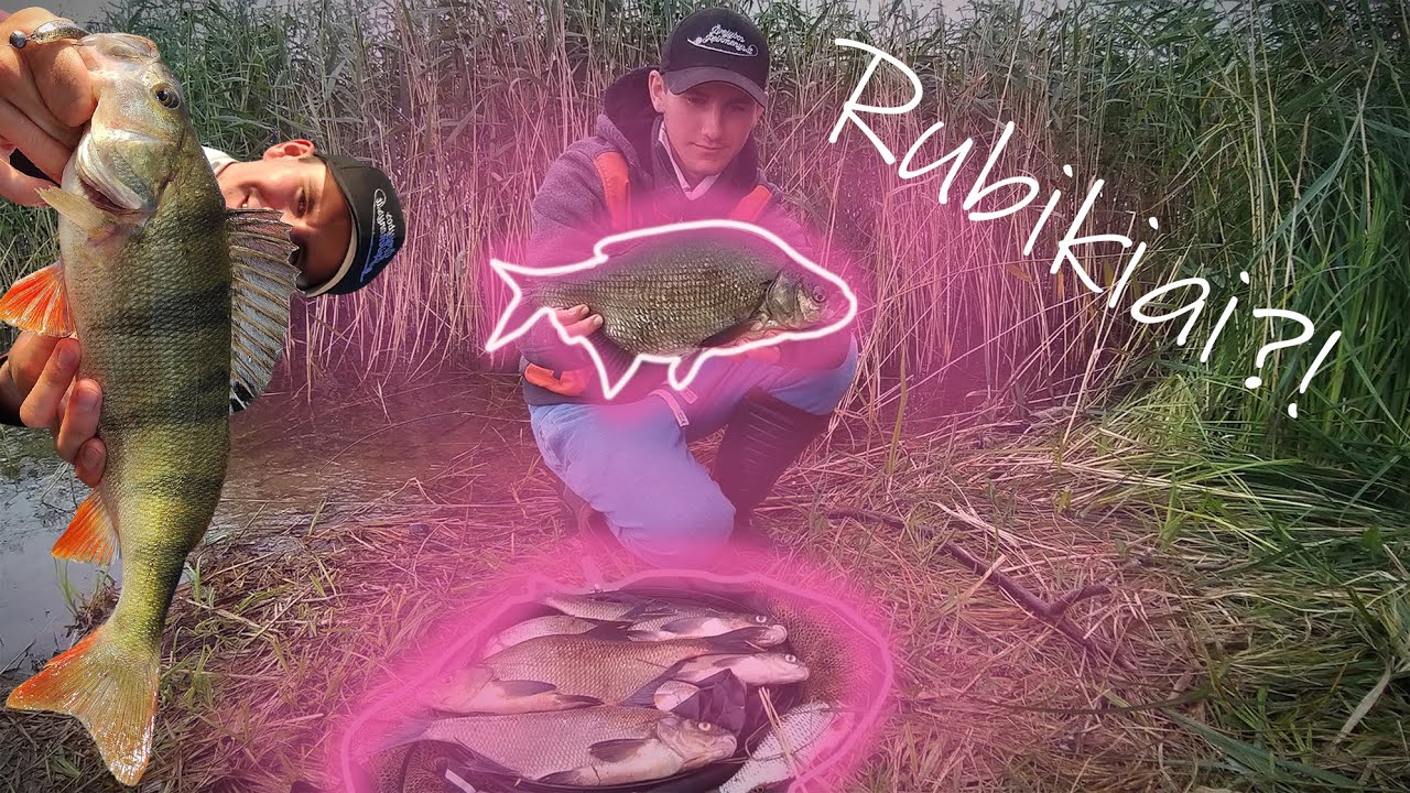 MAN KIMBA - rugpjūčio karšiai POPUP'ais 🤩💪