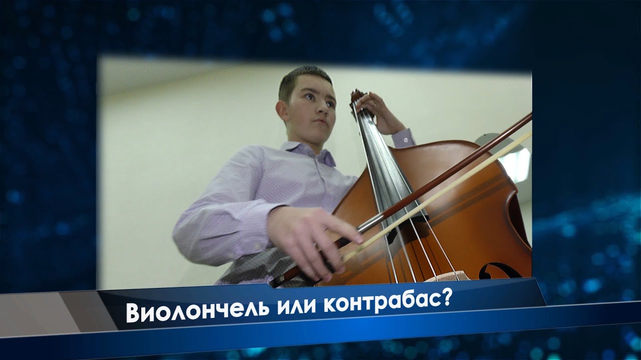 Виолончель или контрабас