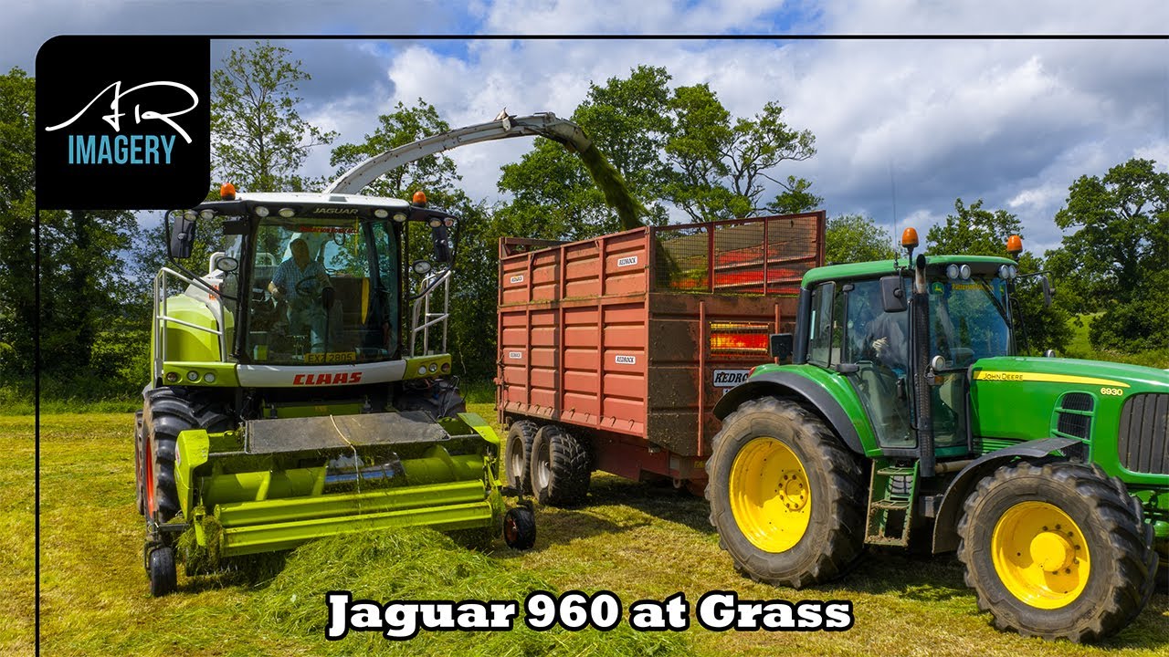 Claas Jaguar 960 Lifting Grass | Patterson Contracts in Action