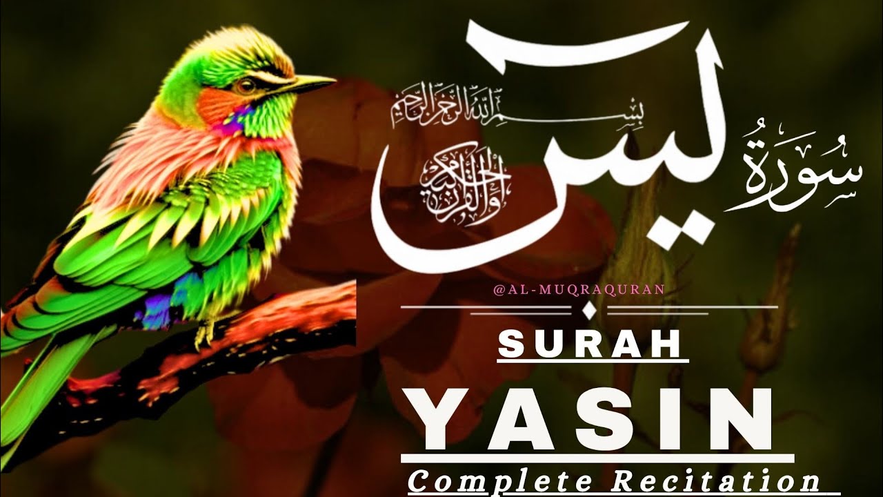 Surah Yaseen Recitation | EP 62 | Beautiful Quran Tilawat with Urdu Translation