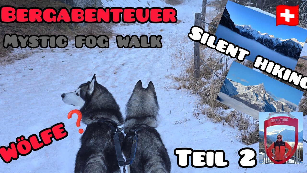 Bergabenteuer - Teil 2 - silent hiking - mystic fog walk - Wölfe? - Hoch in die Sonne - Hannigalp 