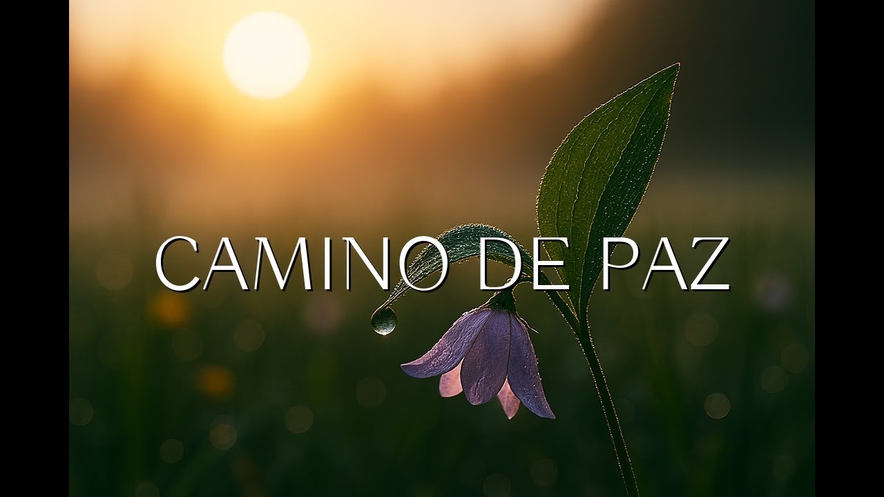 MÚSICA TRANQUILA para relajación | Tonos suaves que liberan el estrés