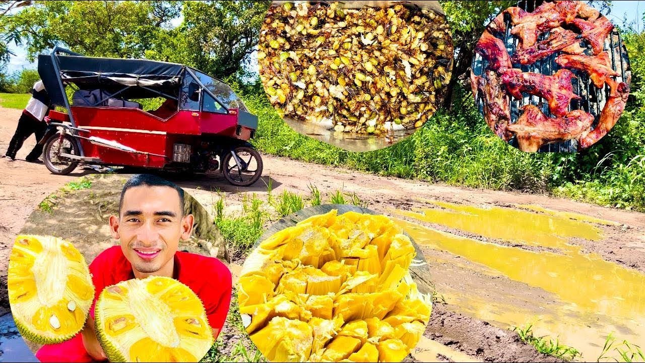 Wow Travel to the forest near the mountain finding fruits and foods