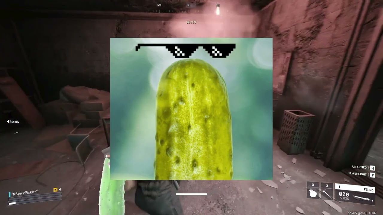 MrSpicyPickle survives the rat attack on Stella Montis!