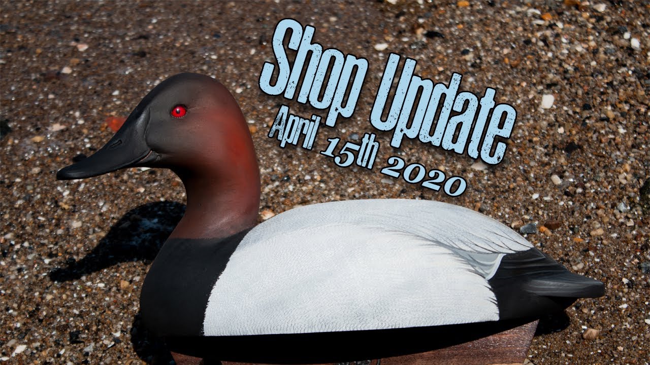 Shop update 2020