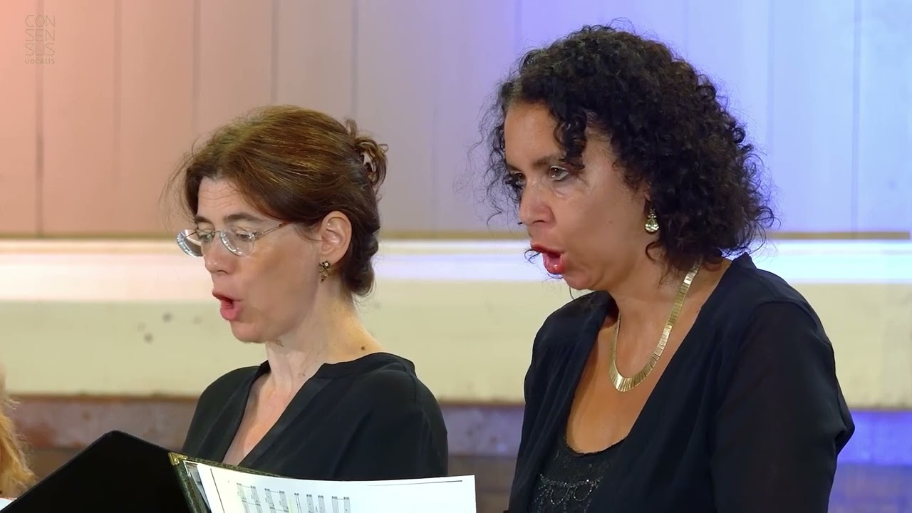 Consensus Vocalis - Sounds of Freedom trailer