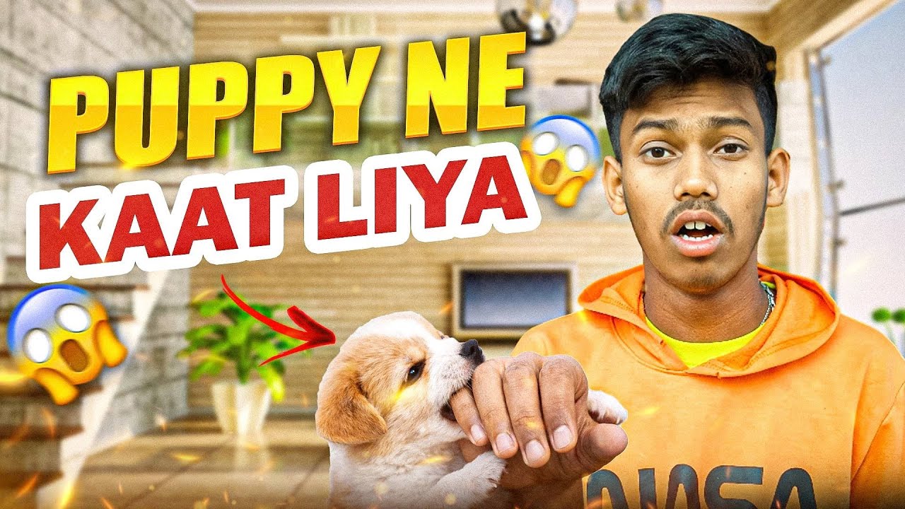 Pappy Ne Kaata 😱 | Injection Lagwana Pada #dailyvlog #vlog #villagerlifestyle  #puppy