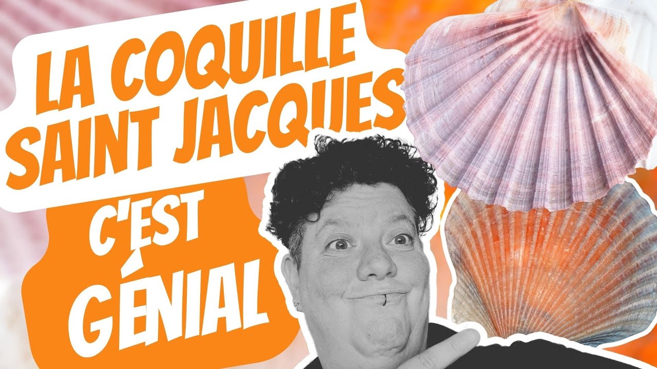 les Pouvoirs Mystérieux de la Coquille Saint-Jacques  - bien plus qu'un Symbole !