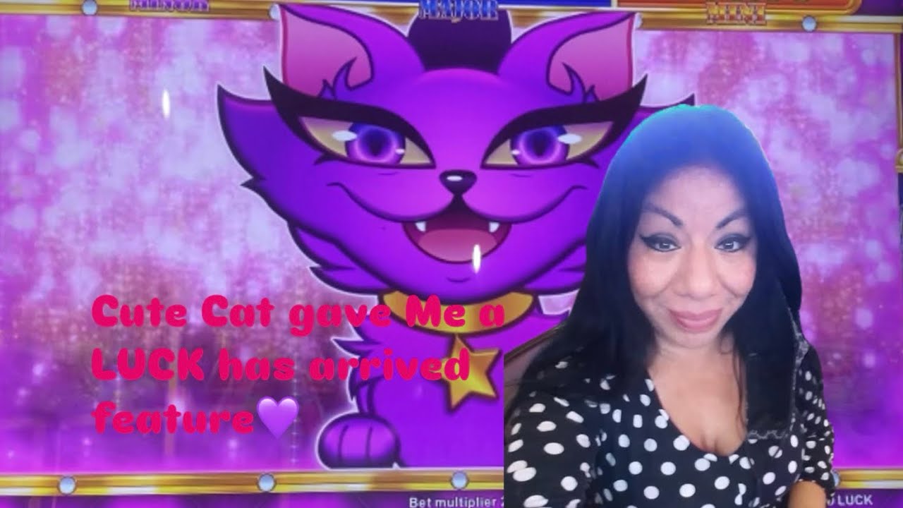 New Slots🎰Wins at Black Oak Casino🤑