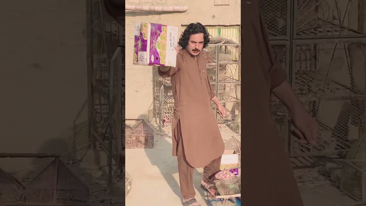 Dakni titaar ki cargo/titaar ki awaz/