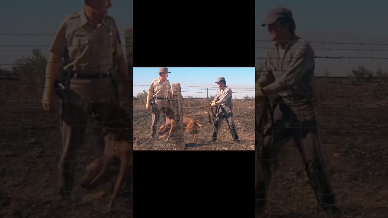 L&rsquo;Homme aux mille plans &ndash; souligne son ing&eacute;niosit&eacute;.