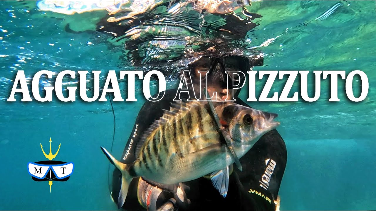 Agguato al Pizzuto - CIVITAVECCHIA - 2024.03.22