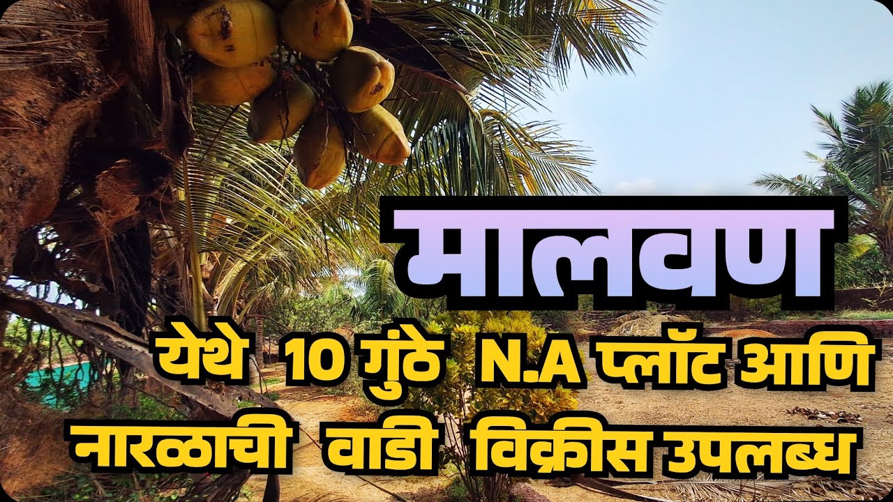 मालवण येथे  N.A प्लॉट तसेच  नारळाची  वाडी  असलेला  प्लॉट विक्रीस  उपलब्ध 
