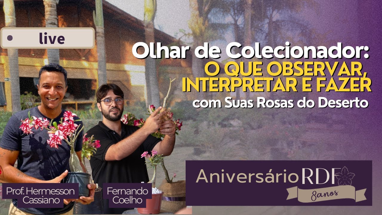 Segredos do Colecionador: Como Observar e Cuidar da sua Rosa do Deserto