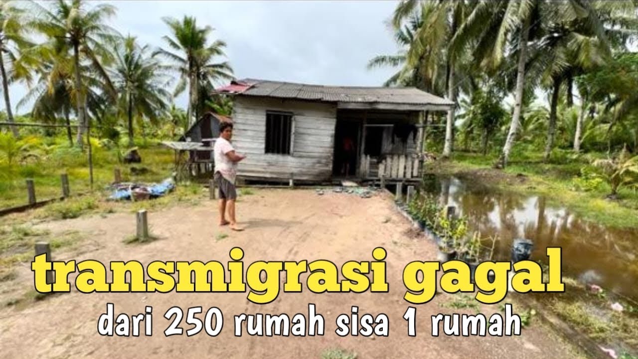 Jejak transmigrasi gagal di kalimantan barat
