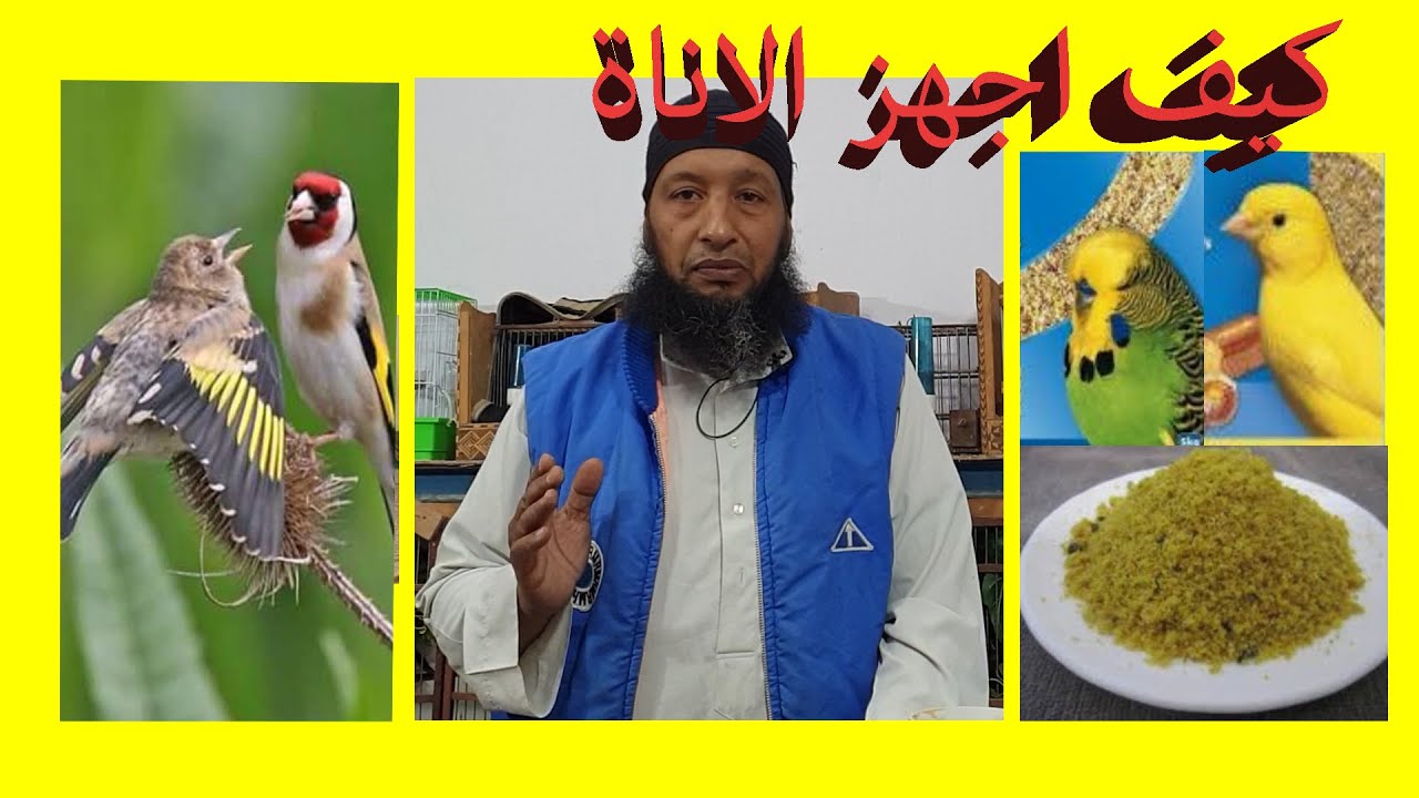 9 novembre 2019كيف اجهز الاناة والدكور