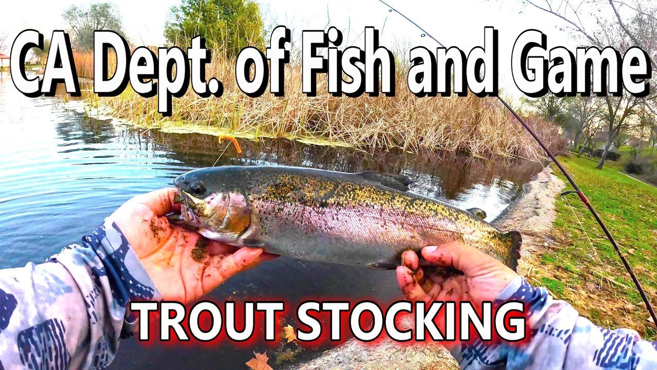 Fishing Pressured Trout and Crappie at Granite Park