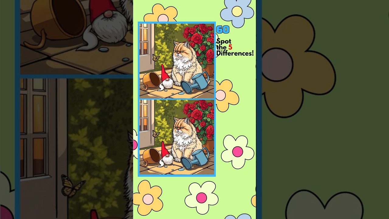 #29 Spot the Difference - Persian Cat Garden Grump | Brain Fitness Puzzle Game