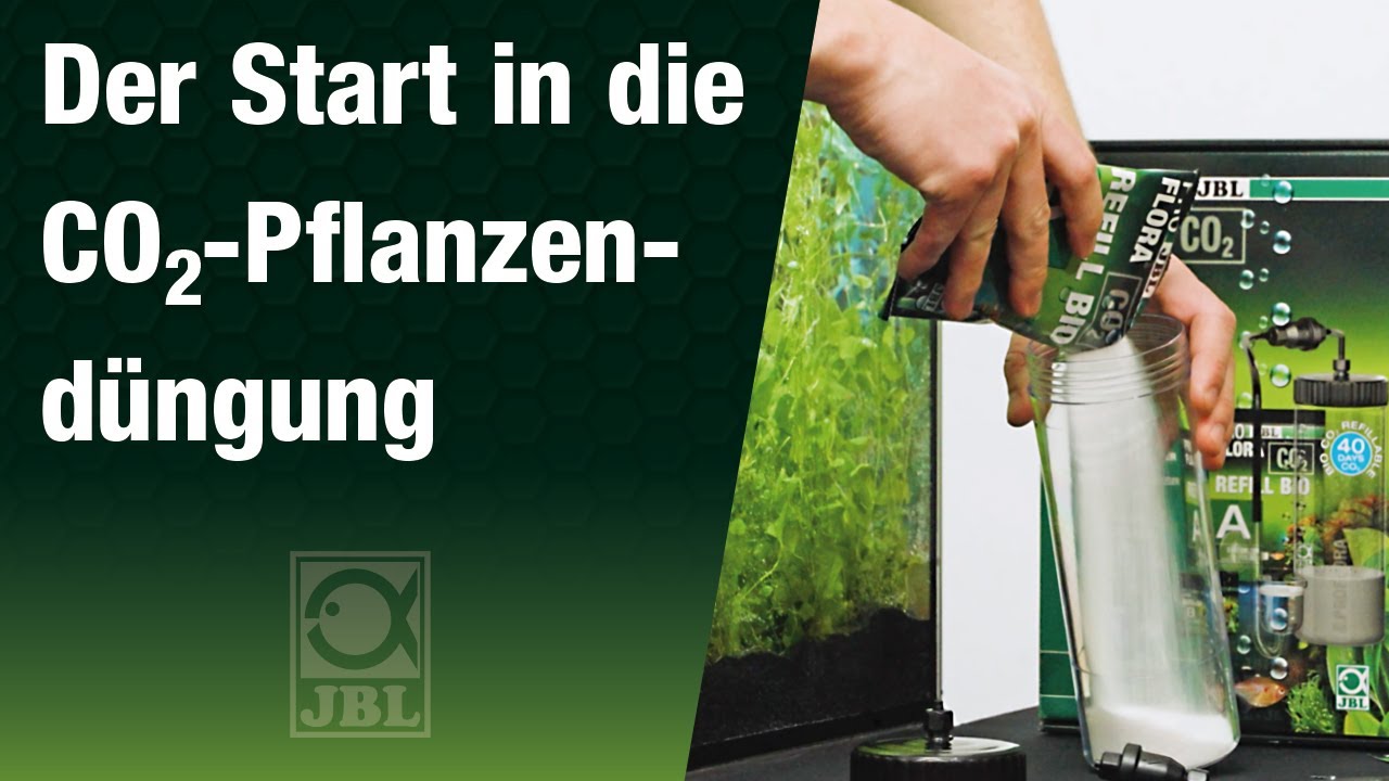 Aquarienpflanzen d&uuml;ngen mit einem BIO CO2 System - Schnell und g&uuml;nstig einsteigen