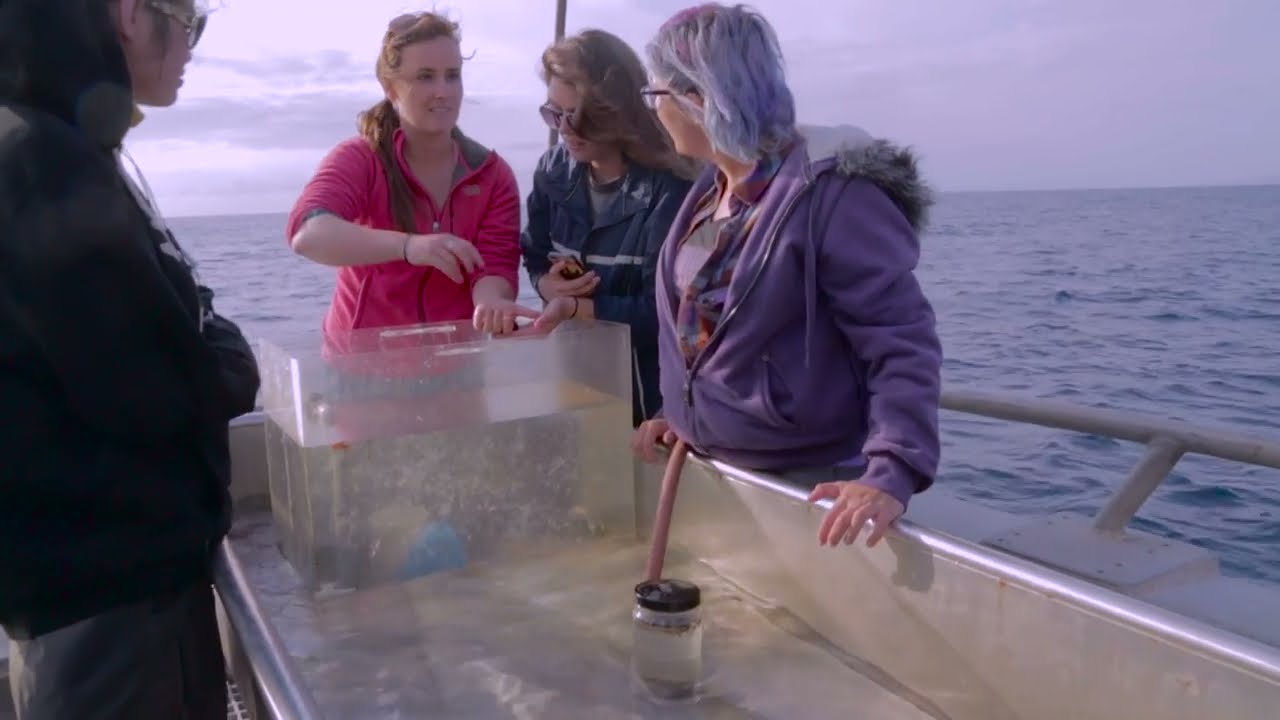 CSUN Marine Biology