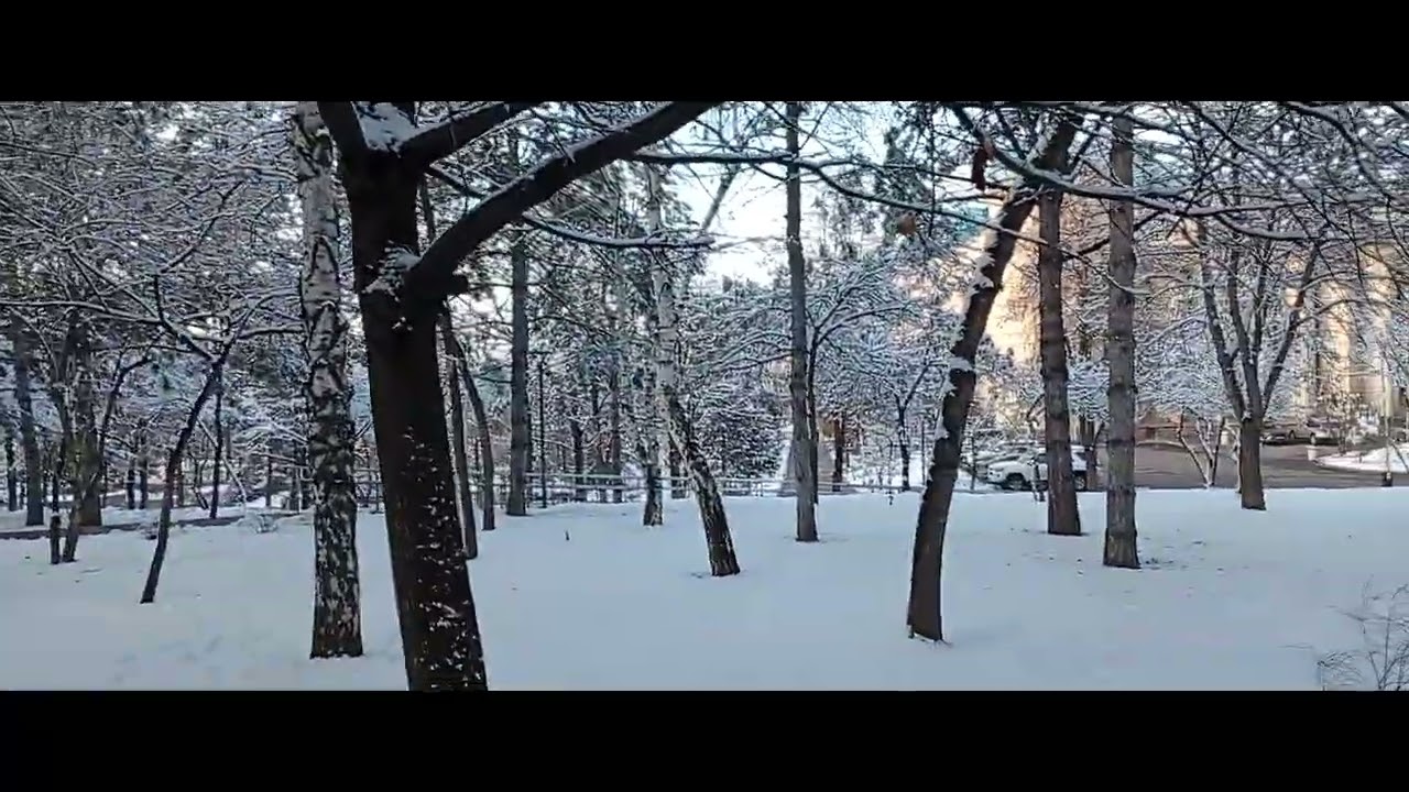 мкр. Самал. Зимняя прогулка. 2026. 1 серия.