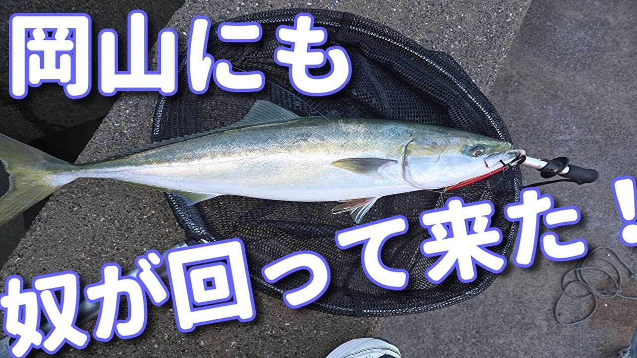 R7 11/1 岡山ショアジギング