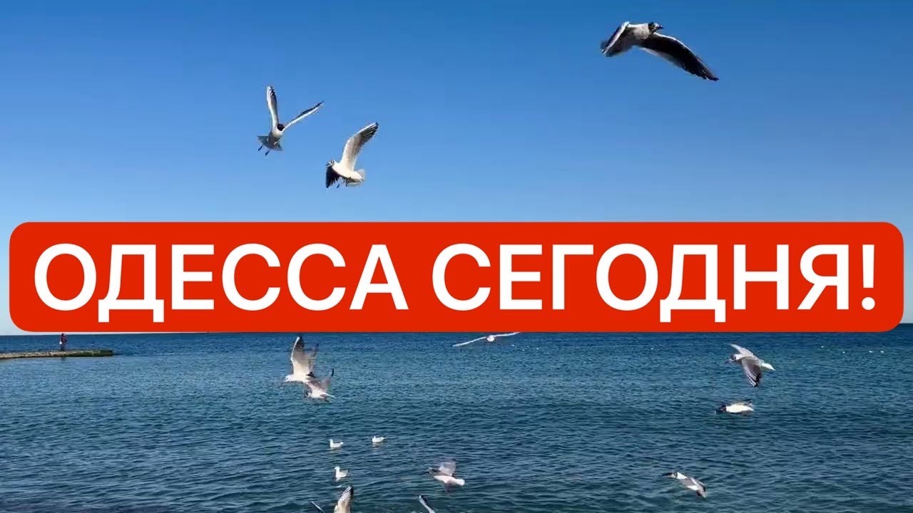Украина 11 марта! ЭКСТРЕННО ВЫЕЗЖАЕМ! БУДЕТ ХУЖЕ! Как ВЫЖИВАЕМ в Киеве сегодня?!