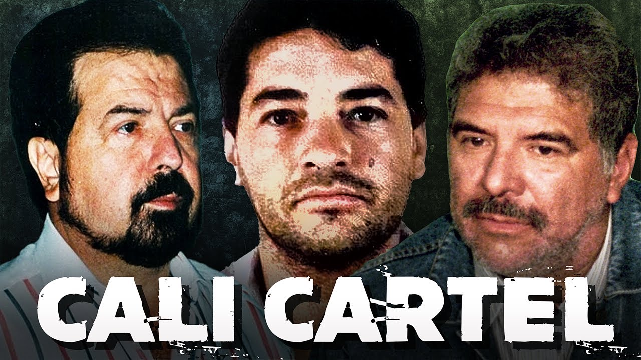 The Rise and Fall of the Cali Cartel : Its Wealth and Power