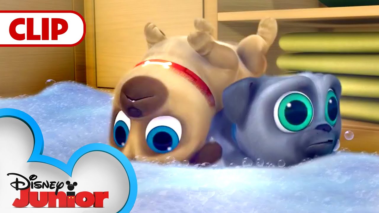 Cleanin' Pup! | Puppy Dog Pals | @disneyjr