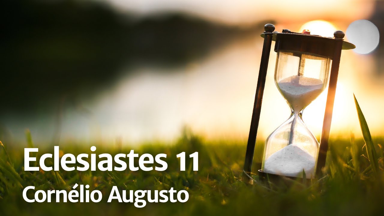 Bíblia Falada | Eclesiastes 11