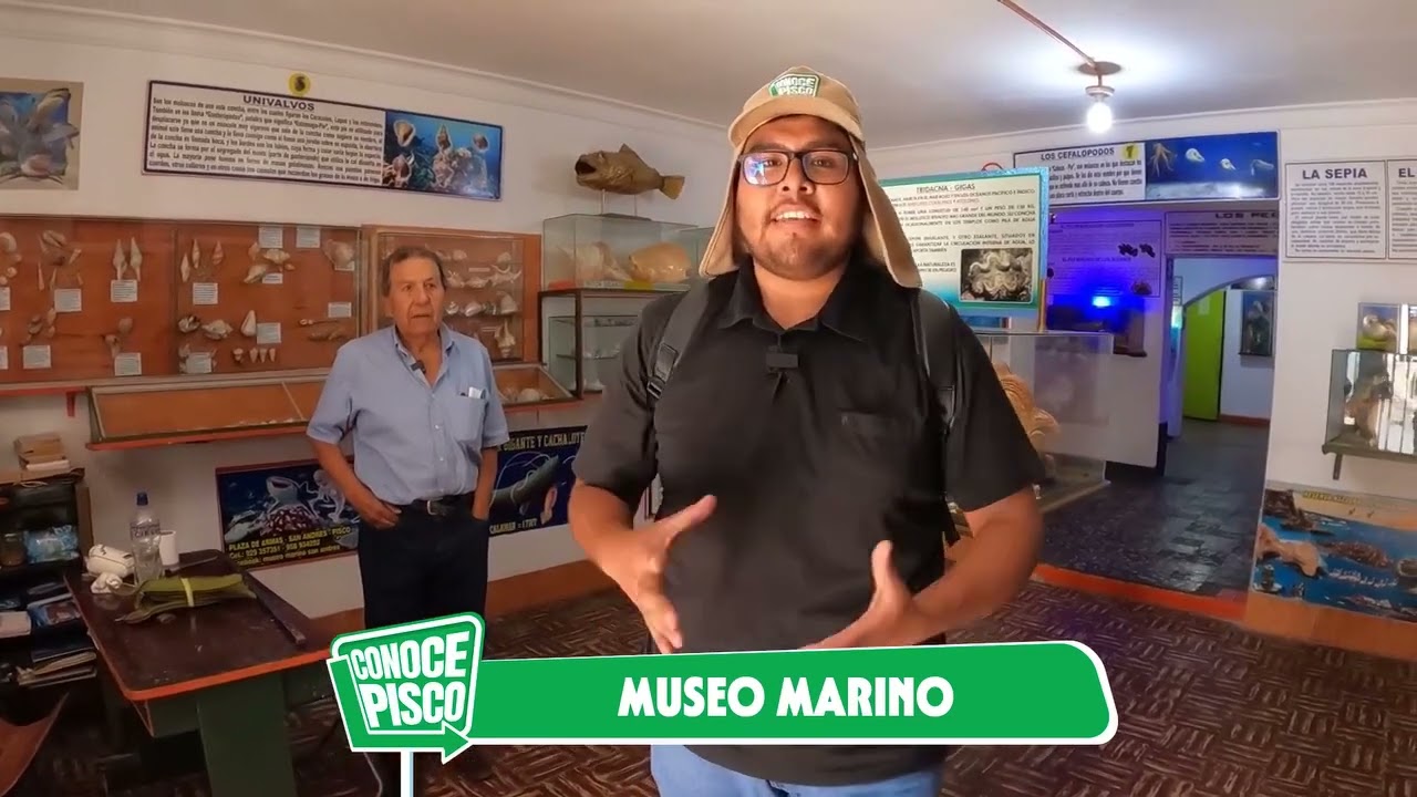 😎 CONOCE PISCO: SAN ANDRÉS