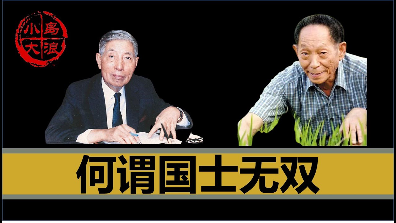 【小岛浪吹】聊聊两岸的两位无双国士，到底什么样的人才算国士无双，袁隆平的争议到底有哪些