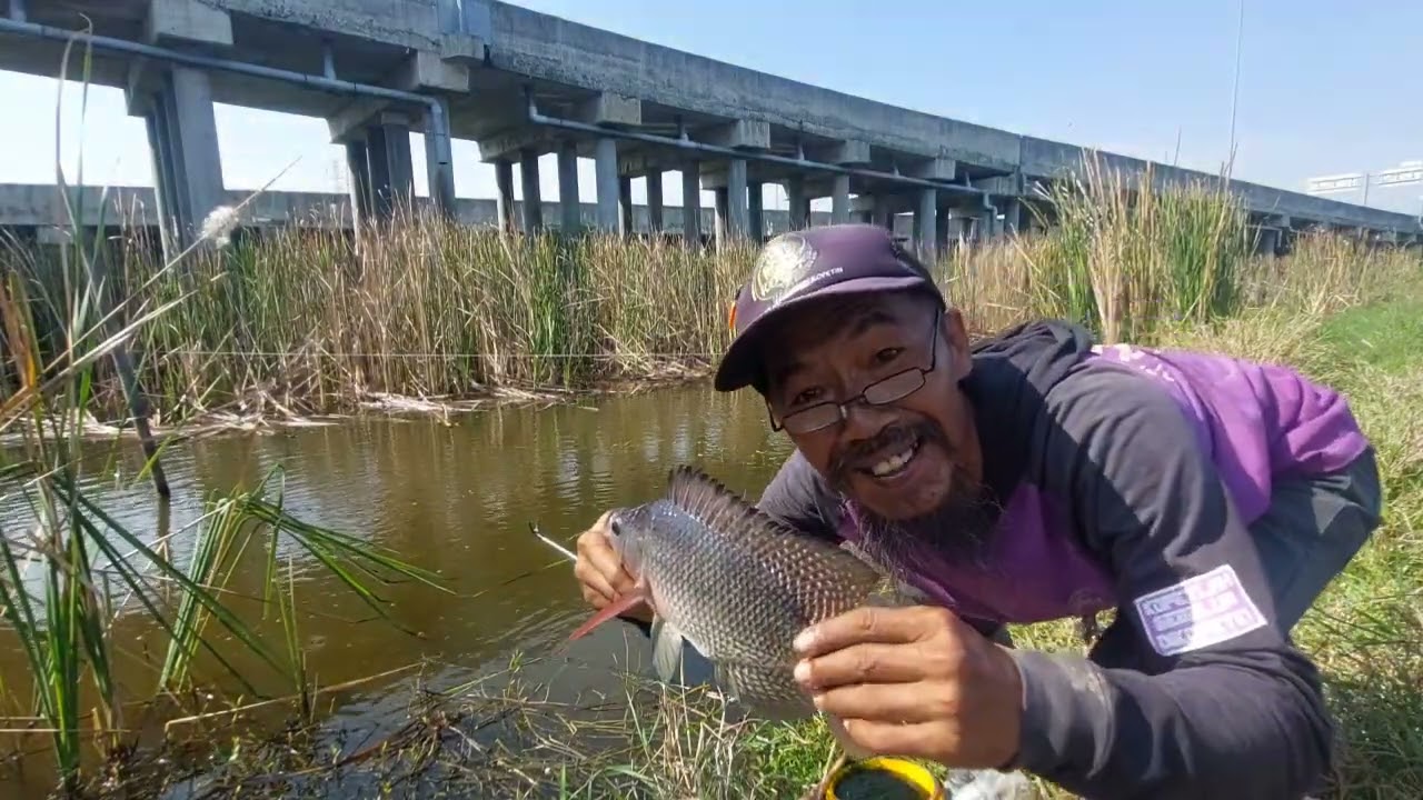Mancing aman liaran aje @jenggotmancingchanel4253