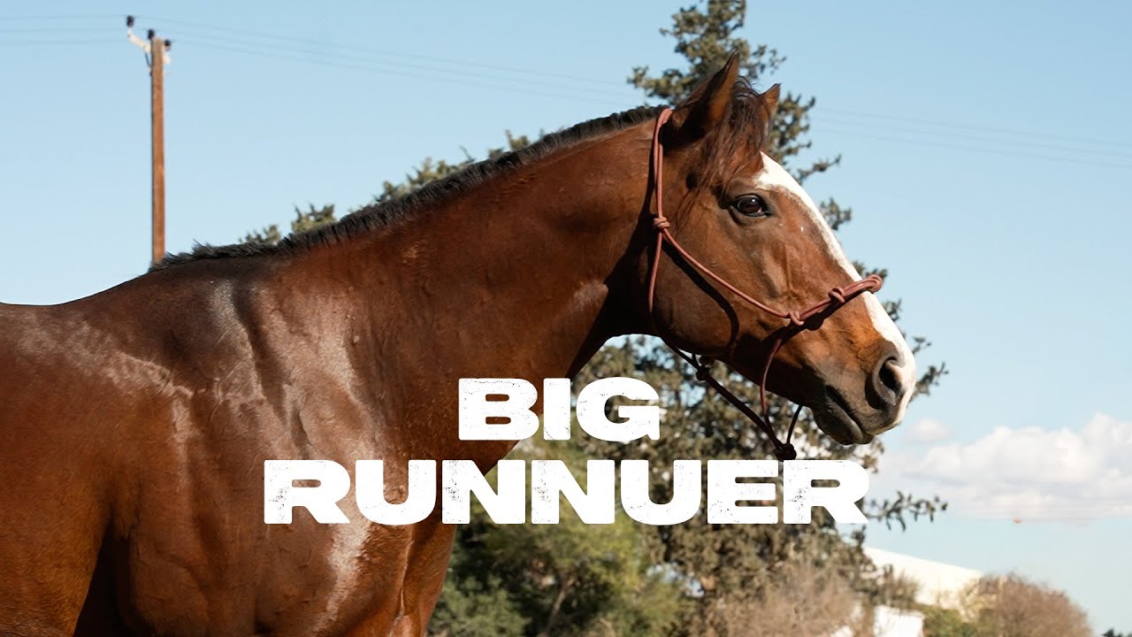 BIG RUNNUER ΣΕ ΔΥΟ ΛΕΠΤΑ