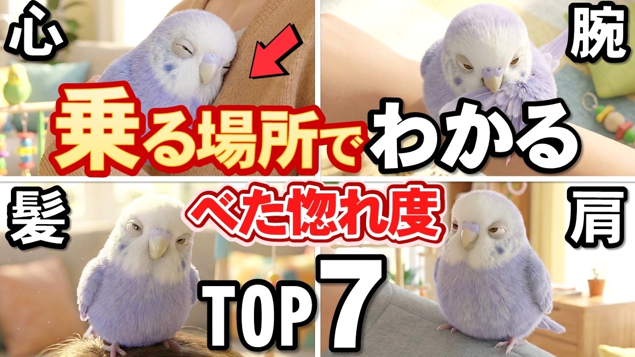 殆ど知らない！鳥がどこに乗るかでわかる愛され度TOP７