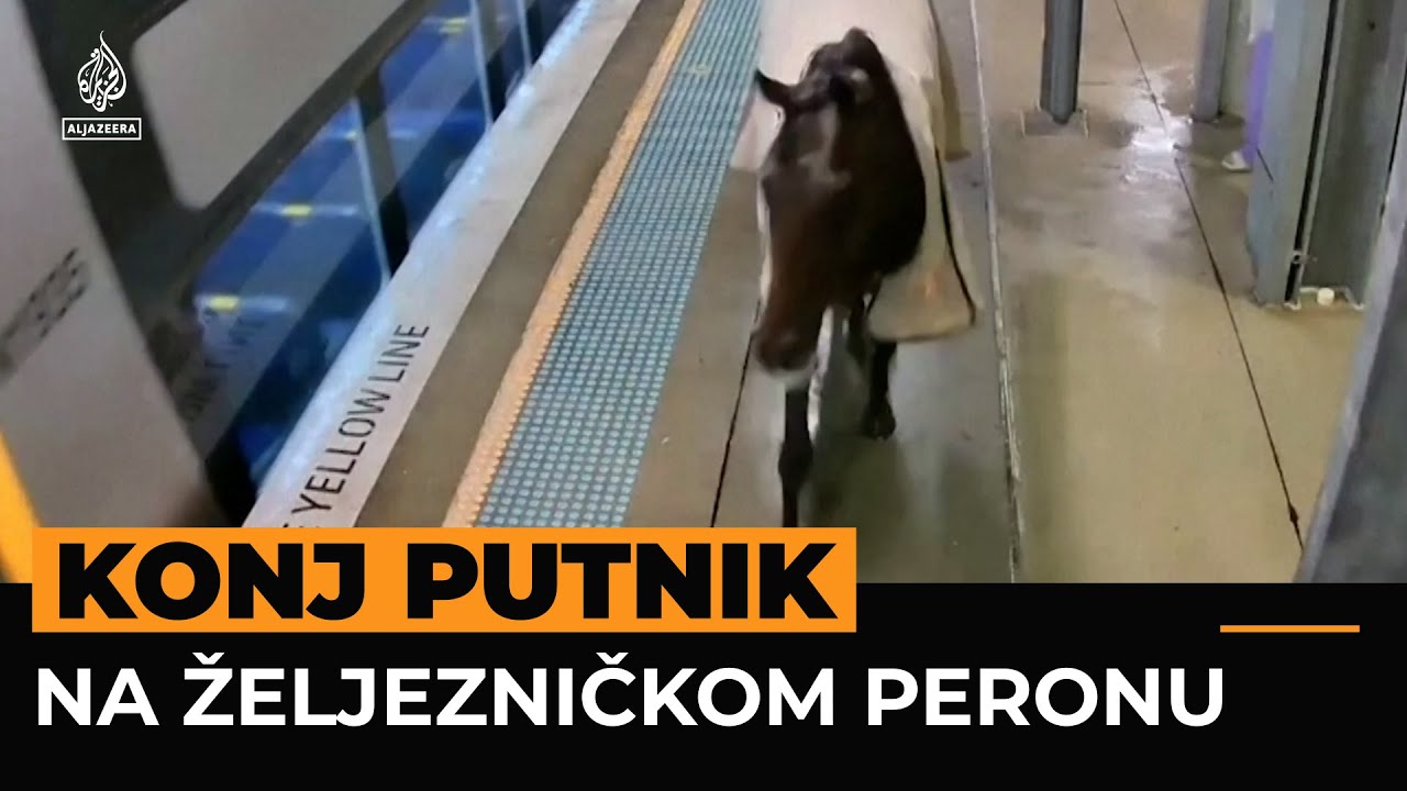 Neočekivani putnik uočen na australskoj željezničkoj stanici