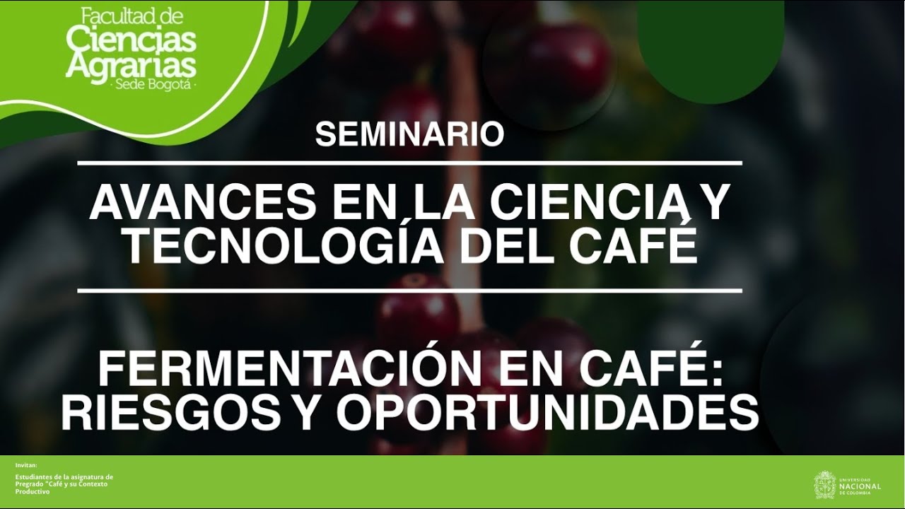 ☕ Fermentación en café: Riesgos y oportunidades