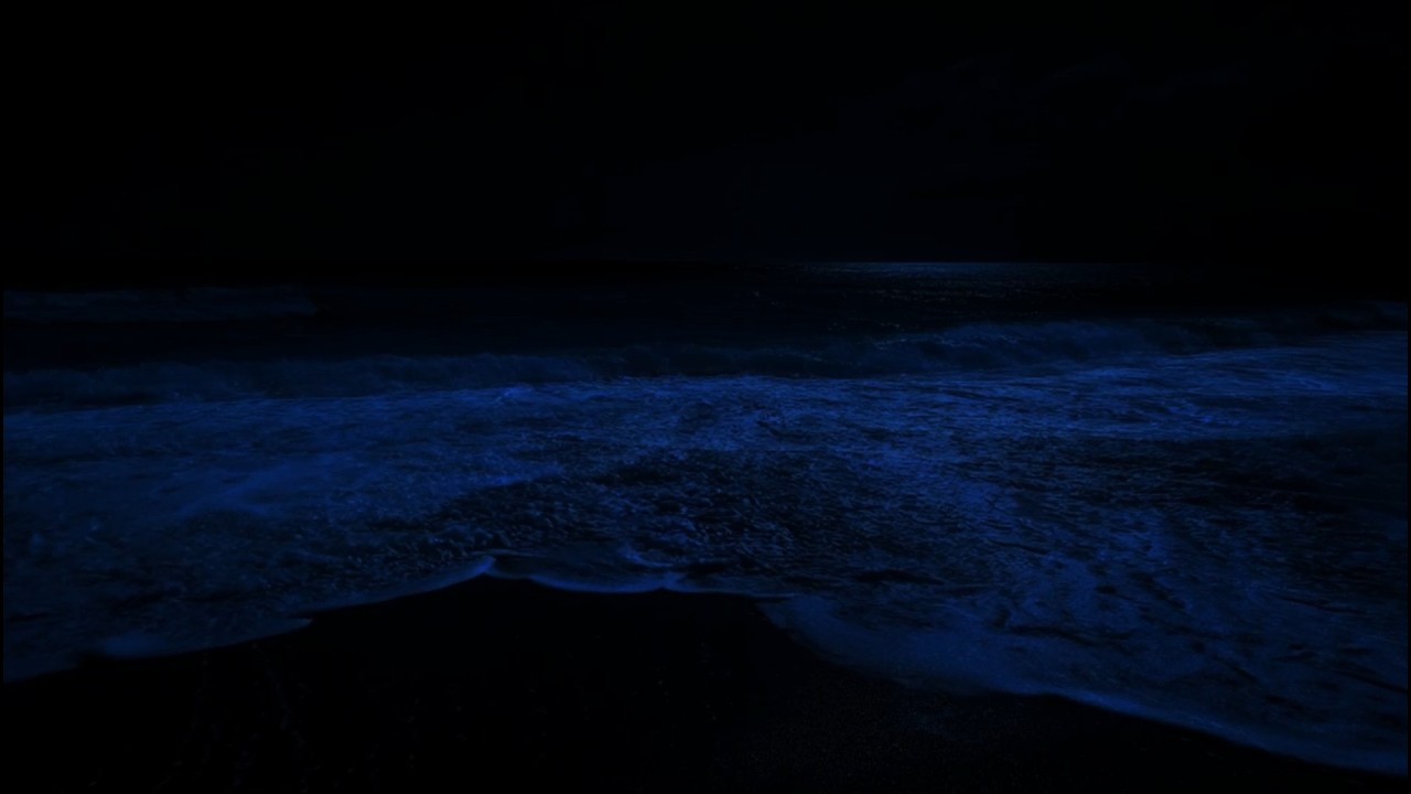Ocean Waves at Night | Relaxing Waves Sounds for Insomnia, Deep Sleep