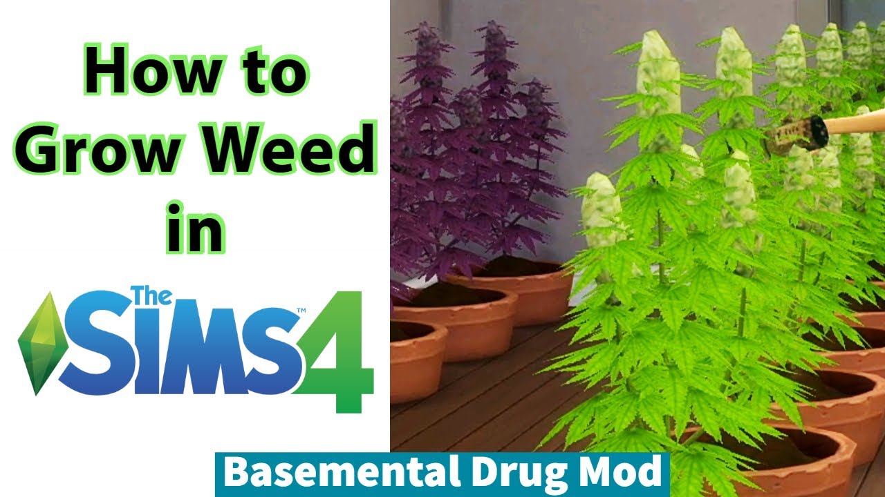 How to Grow Weed in Sims 4 // Basemental Drug Mod