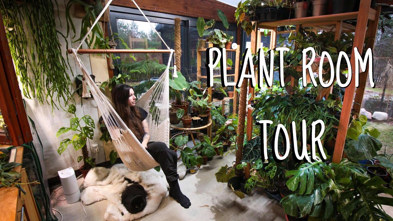 Houseplant room tour – January 2020
