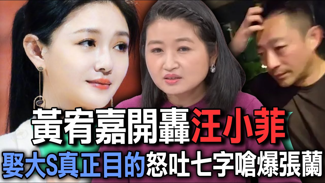 黃宥嘉開轟汪小菲！娶大S真正目的怒吐七字嗆爆張蘭【新聞挖挖哇】精選回顧